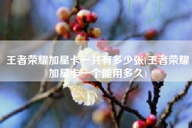 王者荣耀加星卡一共有多少张(王者荣耀加星卡一个能用多久)