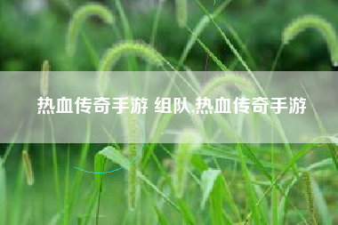 热血传奇手游 组队,热血传奇手游