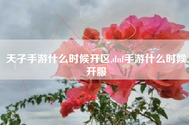 天子手游什么时候开区,dnf手游什么时候开服