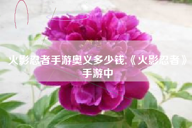 火影忍者手游奥义多少钱,《火影忍者》手游中