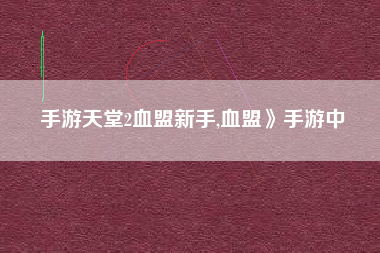 手游天堂2血盟新手,血盟》手游中