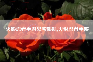 火影忍者手游鬼鲛跟凯,火影忍者手游