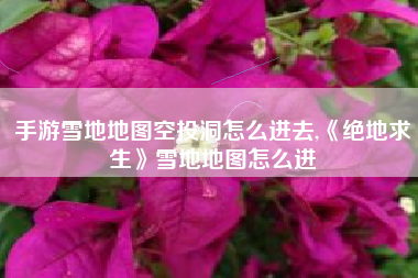 手游雪地地图空投洞怎么进去,《绝地求生》雪地地图怎么进