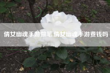 倩女幽魂手游做笔,倩女幽魂手游费钱吗