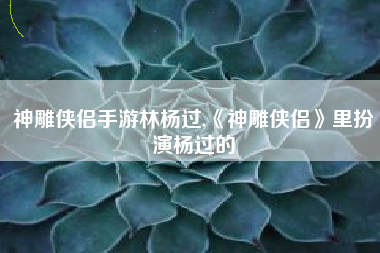 神雕侠侣手游林杨过,《神雕侠侣》里扮演杨过的