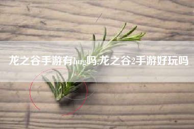 龙之谷手游有bug吗,龙之谷2手游好玩吗