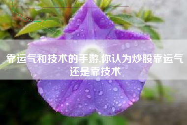 靠运气和技术的手游,你认为炒股靠运气还是靠技术