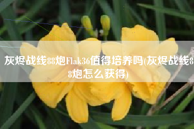 灰烬战线88炮Flak36值得培养吗(灰烬战线88炮怎么获得)