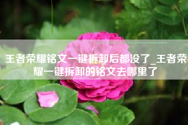 王者荣耀铭文一键拆卸后都没了_王者荣耀一键拆卸的铭文去哪里了