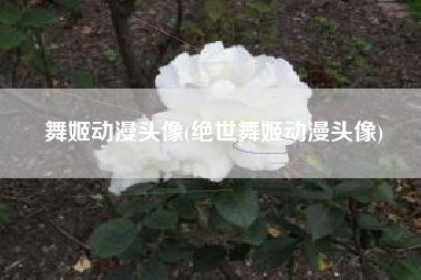 舞姬动漫头像(绝世舞姬动漫头像)