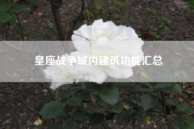 皇座战争城内建筑功能汇总