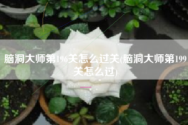 脑洞大师第196关怎么过关(脑洞大师第199关怎么过)