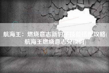 航海王：燃烧意志新豹子技能搭配攻略(航海王燃烧意志兑换码)