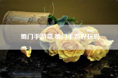蜀门手游禁,蜀门手游好玩吗