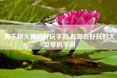 有不知火舞的好玩手游,有哪些好玩的大型单机手游