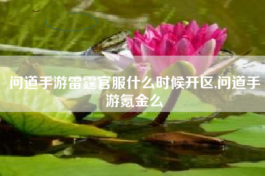 问道手游雷霆官服什么时候开区,问道手游氪金么
