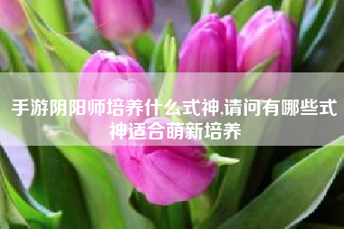 手游阴阳师培养什么式神,请问有哪些式神适合萌新培养