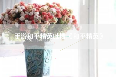 手游和平精英吐槽,《和平精英》
