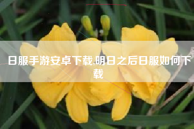 日服手游安卓下载,明日之后日服如何下载