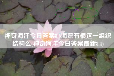 神奇海洋今日答案8.6海藻有根这一组织结构么(神奇海洋今日答案最新8.4)