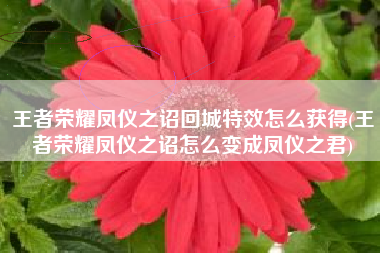 王者荣耀凤仪之诏回城特效怎么获得(王者荣耀凤仪之诏怎么变成凤仪之君)