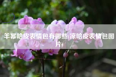 羊幂哈皮表情包有哪些(凉哈皮表情包图片)