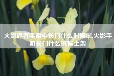 火影忍者手游中长门什么时候出,火影手游长门什么时候上架