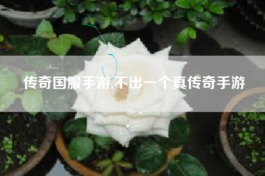 传奇国服手游,不出一个真传奇手游