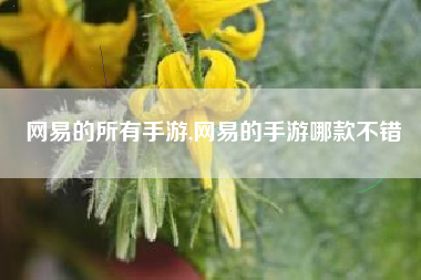 网易的所有手游,网易的手游哪款不错