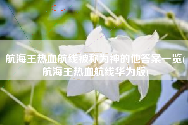 航海王热血航线被称为神的他答案一览(航海王热血航线华为版)