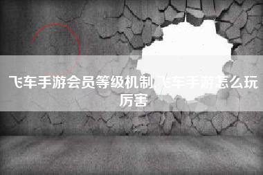 飞车手游会员等级机制,飞车手游怎么玩厉害