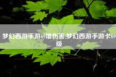 梦幻西游手游69堆伤害,梦幻西游手游卡69级