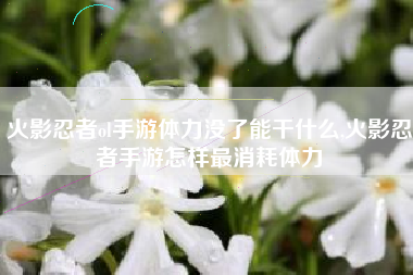 火影忍者ol手游体力没了能干什么,火影忍者手游怎样最消耗体力