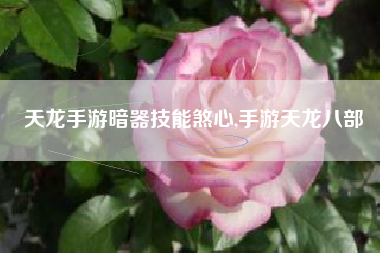 天龙手游暗器技能煞心,手游天龙八部