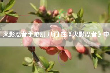 火影忍者手游凯 八门,在《火影忍者》中