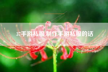 37手游私服,制作手游私服的话