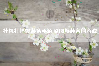挂机打怪爆装备手游,刷图爆装备的游戏
