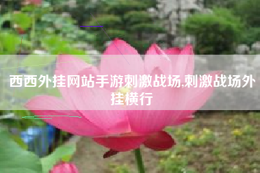 西西外挂网站手游刺激战场,刺激战场外挂横行