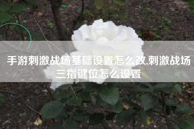 手游刺激战场基础设置怎么改,刺激战场三指键位怎么设置