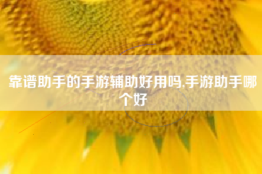 靠谱助手的手游辅助好用吗,手游助手哪个好