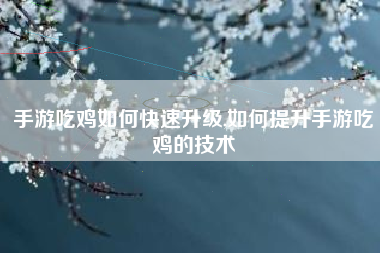 手游吃鸡如何快速升级,如何提升手游吃鸡的技术