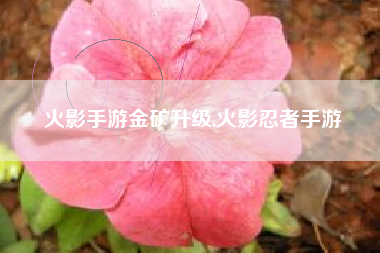 火影手游金矿升级,火影忍者手游