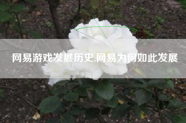 网易游戏发展历史,网易为何如此发展