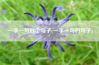 一字一句对个句子(一字一句的句子)