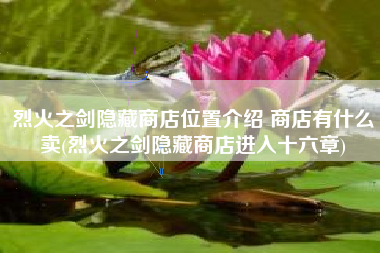 烈火之剑隐藏商店位置介绍 商店有什么卖(烈火之剑隐藏商店进入十六章)