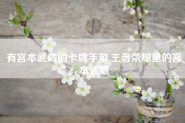 有宫本武藏的卡牌手游,王者荣耀里的宫本武藏