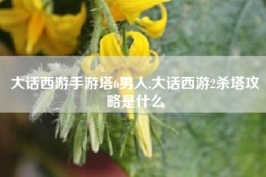 大话西游手游塔6男人,大话西游2杀塔攻略是什么