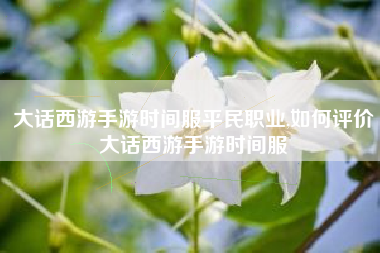 大话西游手游时间服平民职业,如何评价大话西游手游时间服