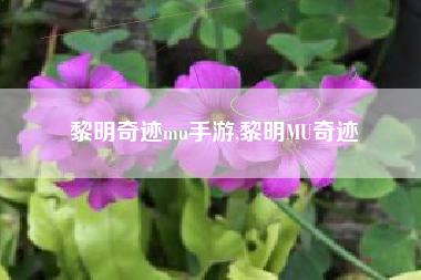 黎明奇迹mu手游,黎明MU奇迹