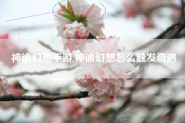神谕幻想手游,神谕幻想怎么触发奇遇